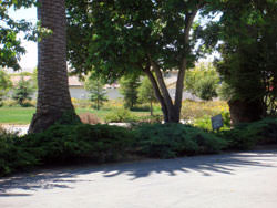 Harden Foundation Estate Front